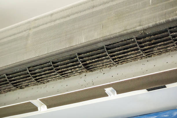 Best Air Duct Cleaning Near Me in Mount Vernon, TX